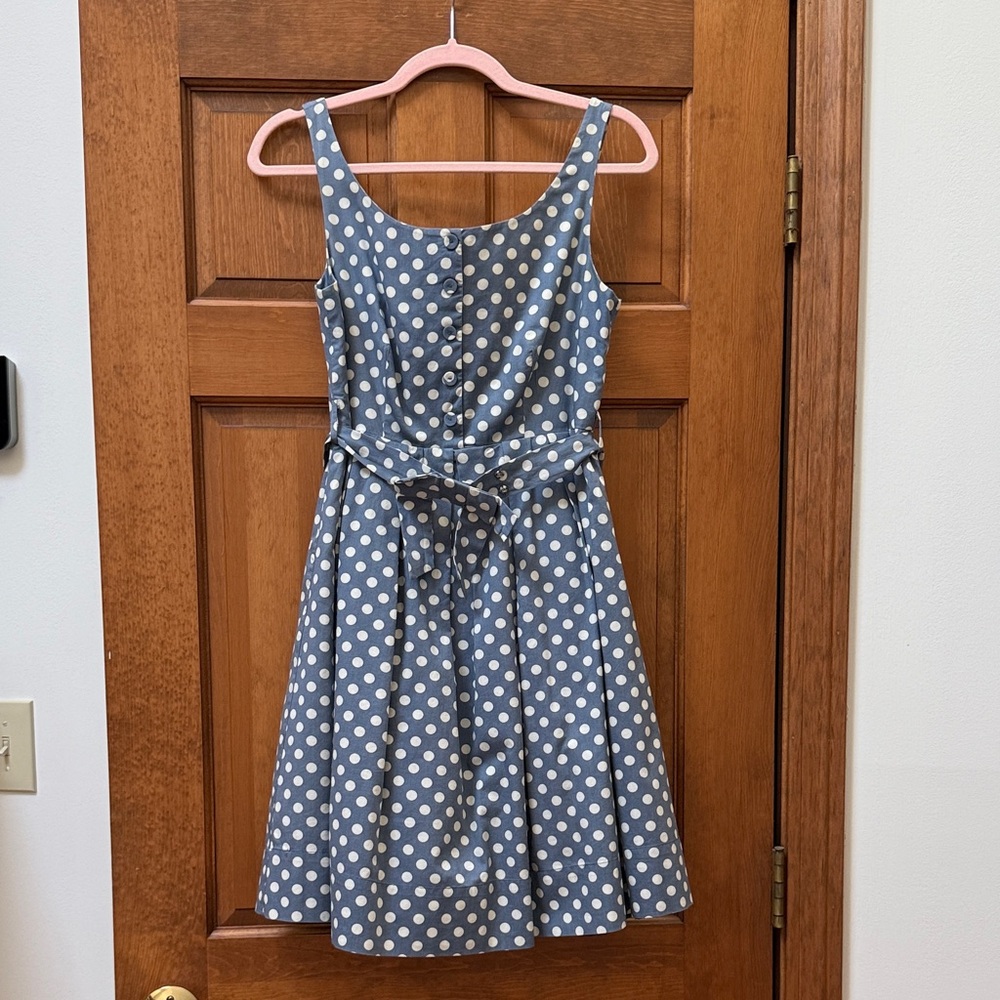 Polka Dot Dress - Blue and White